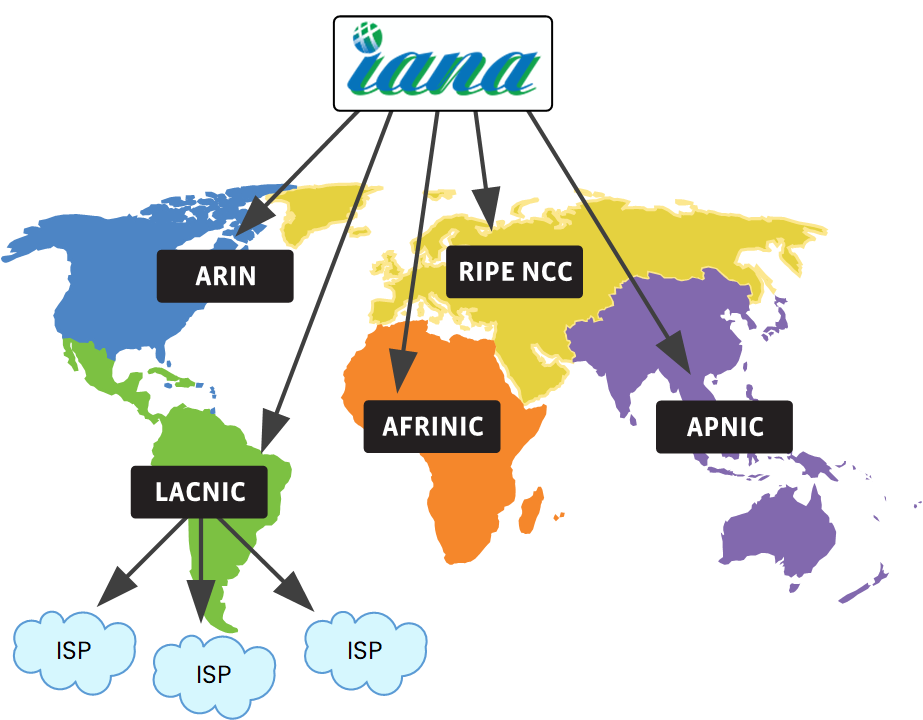 IPv4 address allocation hierarchy from IANA to regional registries ARIN, RIPE NCC, APNIC, LACNIC, AFRINIC and ISPs