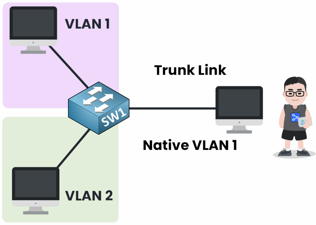 L'utilisateur est accidentellement connecté à un port trunk et assigné au VLAN natif 1 avec le commutateur SW1 reliant le VLAN 1 et le VLAN 2.