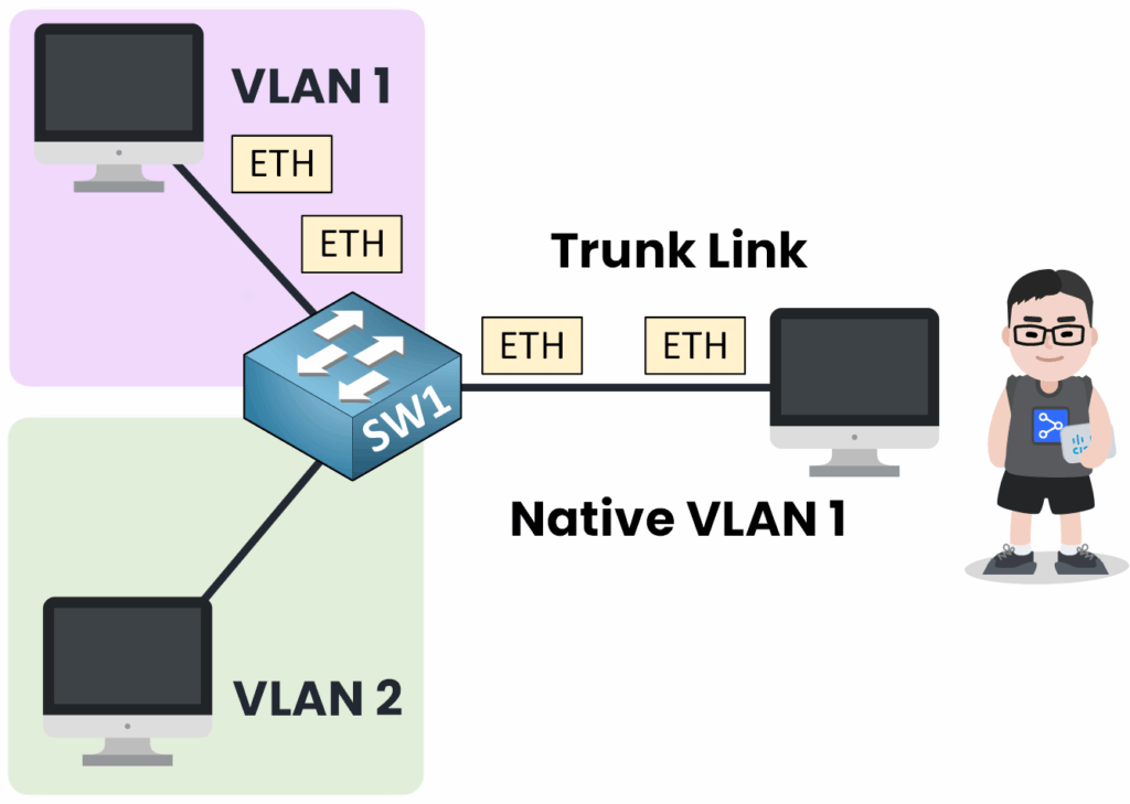 L'utilisateur est connecté par erreur à la liaison trunk, le trafic est attribué au VLAN 1 natif sur le commutateur SW1 entre le VLAN 1 et le VLAN 2.