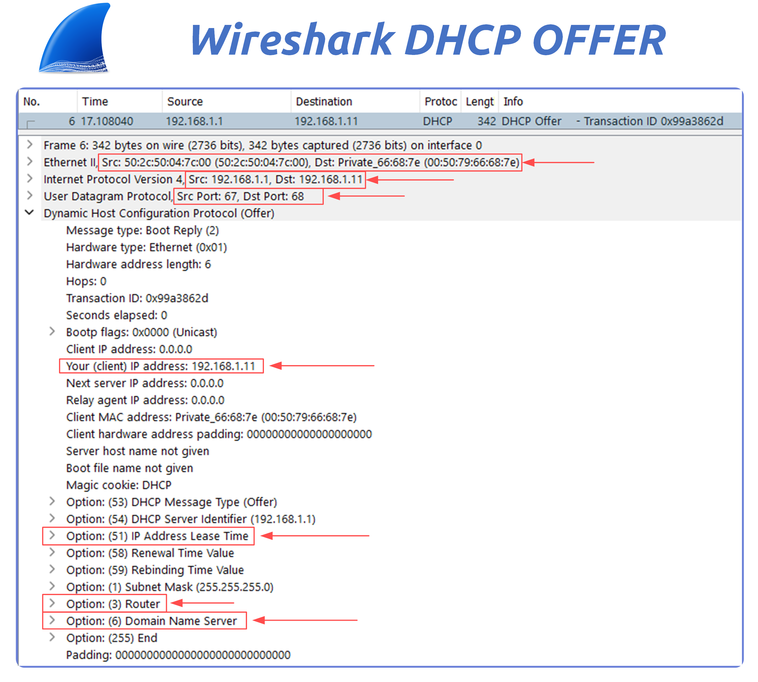 Capture Wireshark montrant un message DHCP Offer dans le protocole de configuration dynamique des hôtes, avec l'adresse IP 192.168.1.11 proposée par le serveur et incluant le masque de sous-réseau, le routeur et les options DNS.