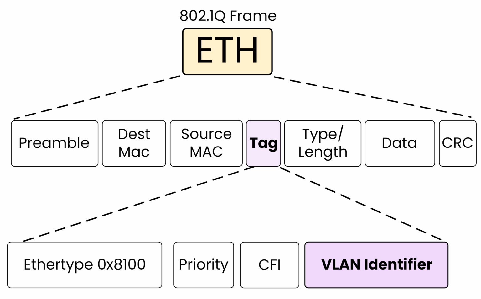 Diagram illustrating the structure of an 802.1Q frame, detailing its components including the Ethernet frame fields and the expanded 4-byte 802.1Q tag, which contains the Ethertype, Priority, CFI, and VLAN Identifier (VID).