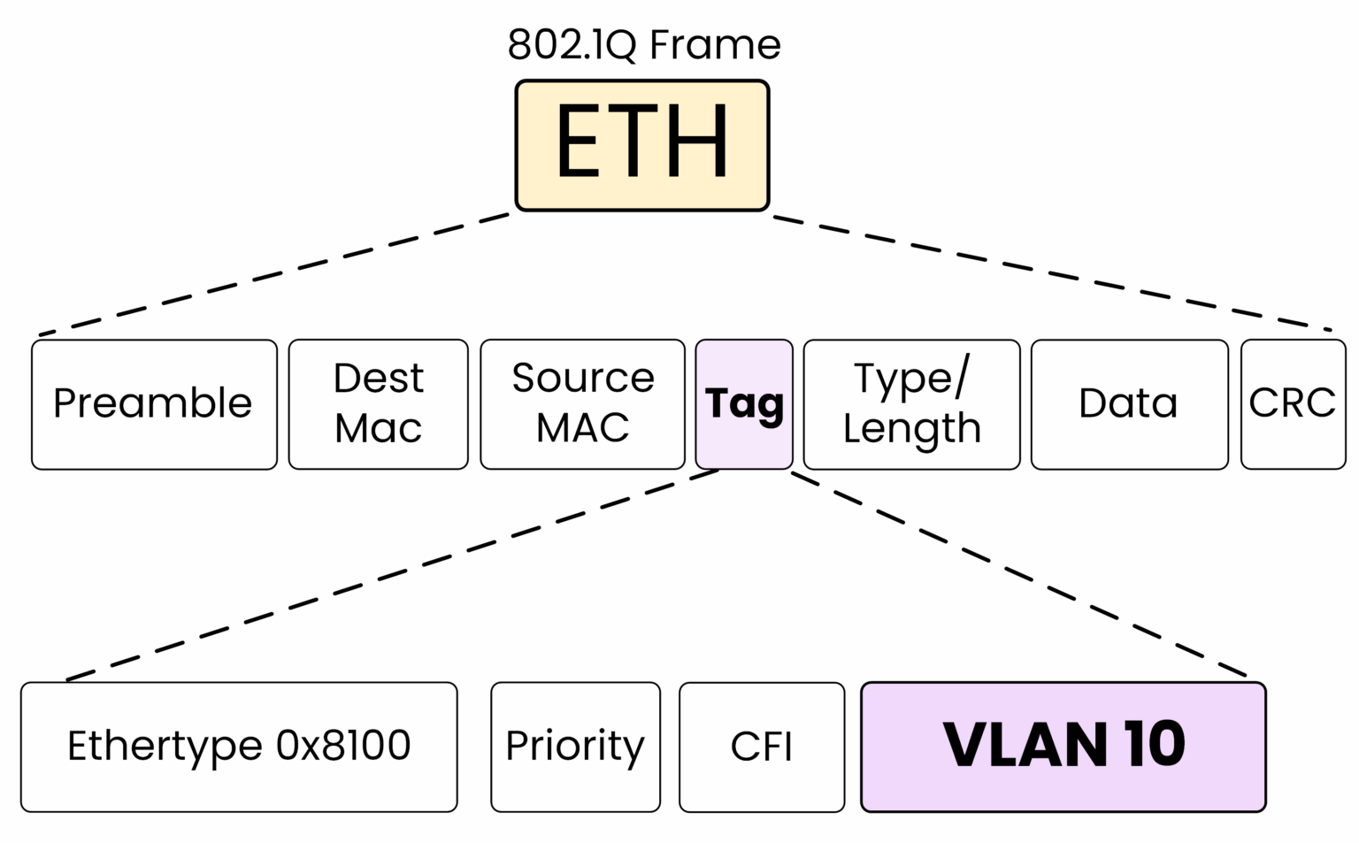 Diagram illustrating an 802.1Q frame structure, showing the 4-byte tag explicitly set with VLAN 10 as the VLAN Identifier (VID), within the Ethernet frame components.