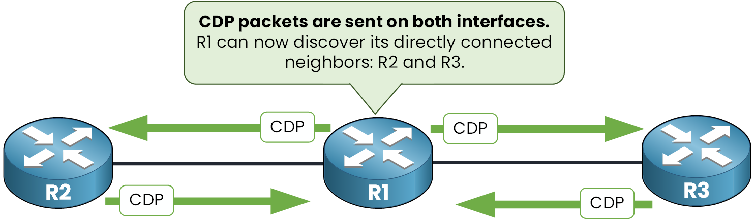 CDP enabled on router R1, discovering directly connected neighbors R2 and R3 via CDP packets on both interfaces