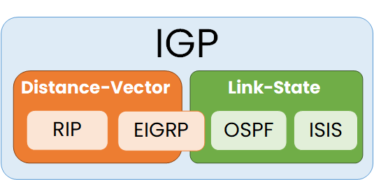 IGP protocol types showing RIP, EIGRP, OSPF, and IS-IS