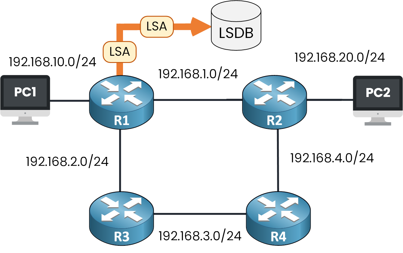 Router R1 stores received LSAs in its Link-State Database to build a complete view of the network