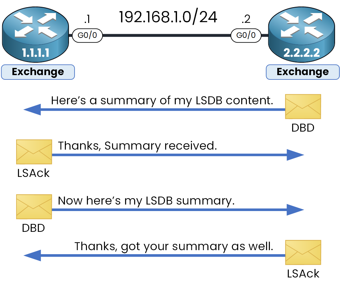 Routers in Exchange state share LSDB summaries using DBD and LSAck packets