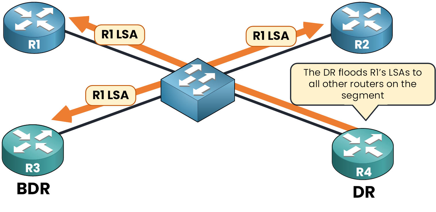 OSPF Designated Router forwarding LSA to all routers after receiving it from R1, with BDR as backup