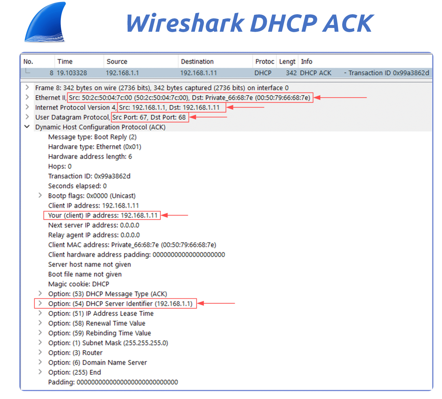 Wireshark capture showing a DHCP ACK message in the dynamic host configuration protocol confirming the lease of IP 192.168.1.11 and providing details like lease time, DNS, and gateway.