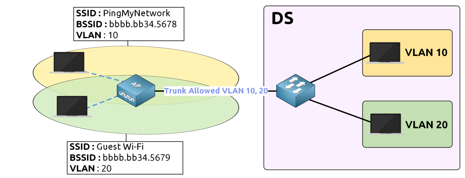 Diagram showing an Access Point handling multiple SSIDs mapped to VLAN 10 and VLAN 20, with traffic trunked to a distribution switch (DS) ensuring VLAN separation.